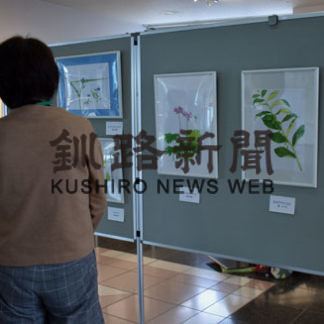 ボタニカルアートや版画並ぶ(2020-10-29)