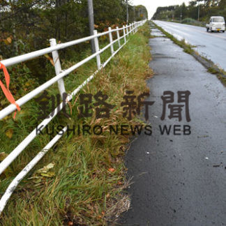 中標津で車とヒグマ衝突(2020-10-08)