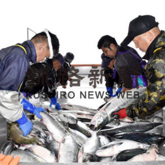 秋サケ定置網漁獲数、浜中３８％減(2020-10-27)