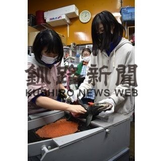 標津高生がサケの採卵体験(2020-10-21)