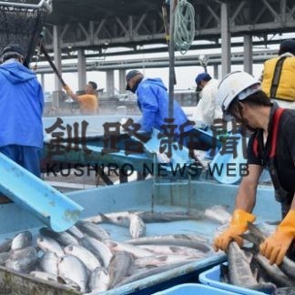 サケ誘導「手網」一部撤去　根室海区(2020-10-31)