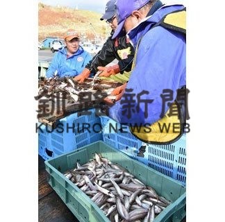 シシャモ初水揚げ　白糠漁港史上最高値(2020-10-28)