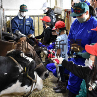 計根別学園生が中標津農業高校で酪農体験(2020-10-11)