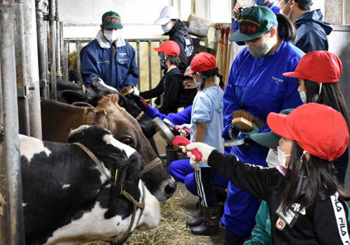 計根別学園生が中標津農業高校で酪農体験(2020-10-11)