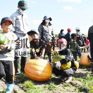 カボチャ収穫に笑顔　みんなか栽培の５５０個(2020-10-20)