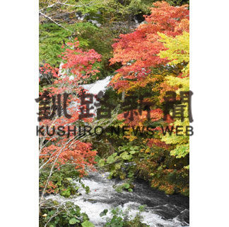 紅葉に癒やされて　滝見橋で見頃(2020-10-11)