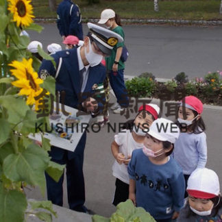 ヒマワリの大輪の花に園児笑顔(2020-10-10)