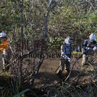 タンチョウの冬季採食地環境を整備　ＪＡＬ社員ボランティア(2020-10-24)