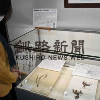 １００年前の植物標本見て　釧路市立博物館(2020-11-24)