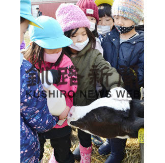 茶内保育所園児が子牛の哺乳体験や搾乳見学(2020-11-15)