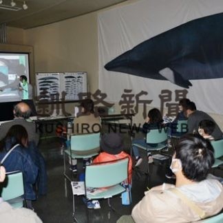 クジラの食事、豪快丸のみ　パネルで生態紹介(2020-11-10)