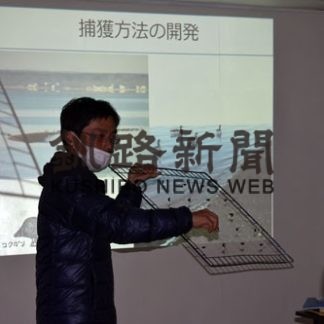 野付湾でコクガン調査　標津で調査グループがシンポ(2020-11-06)