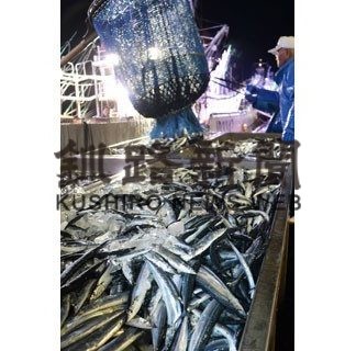 サンマ水揚げ今季最多(2020-11-15)