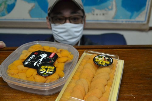 「浜中養殖うに」ステッカー完成 ブランド化推進(2020-11-06)