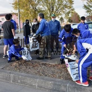 キンレンカの種採り　鳥取西中と８丁目町内会(2020-11-11)