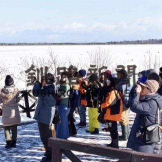 バードフェス　規模縮小し来年１月２９日から開催(2020-11-11)