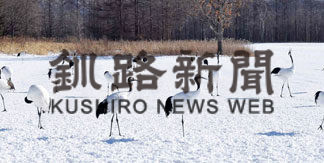 今年は何羽飛来？タンチョウクイズ募集(2020-11-15)