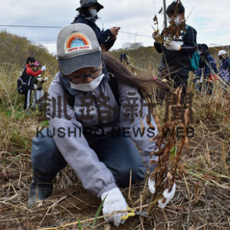 新しい友達と黒大豆収穫(2020-11-03)