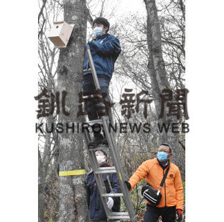 ぬさまいライオンズク、春採湖周辺の巣箱取り替え(2020-11-26)