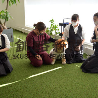 快適環境で犬猫お世話　鈴木設備工務店異業種参入　ペットホテル開業(2020-12-18)