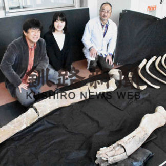 道教大釧路校生 クジラの化石発掘(2021-01-01)