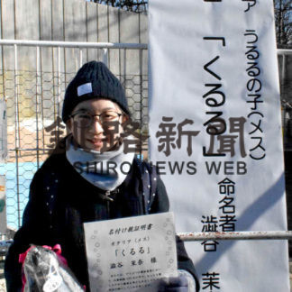 オタリア 愛称「くるる」　澁谷さん（清明小５年）命名(2020-12-21)