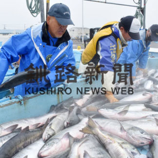 秋サケ定置終漁　根室不振(2020-12-06)