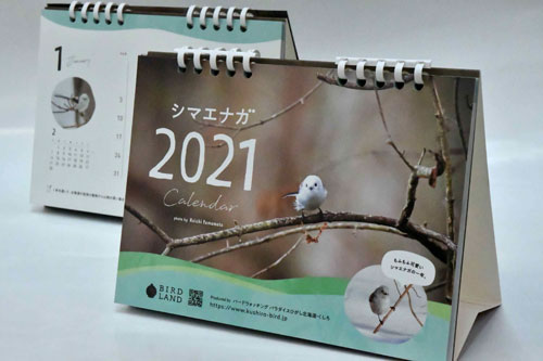 シマエナガカレンダー販売(2020-12-05)