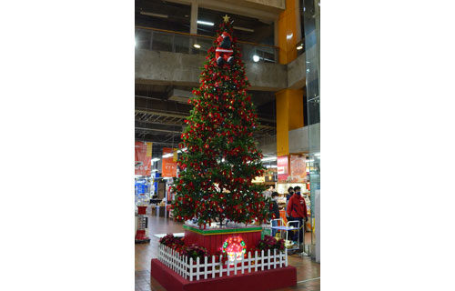 LEDでクリスマスツリー彩る(2020-12-05)