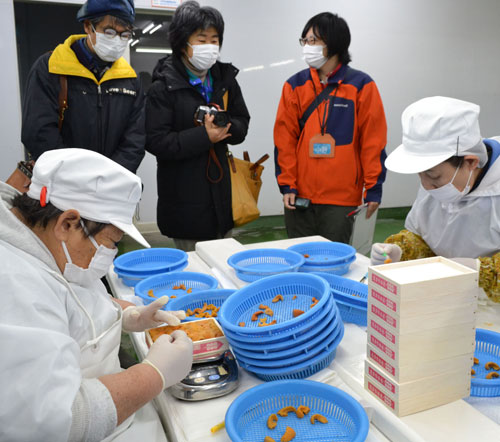 浜中のウニまるごと体験 冬のツアー始まる(2020-12-13)