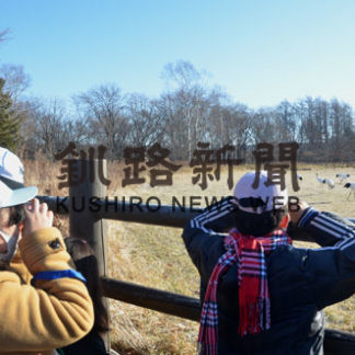 タンチョウ越冬調査(2020-12-05)