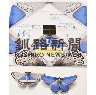 カラフトルリシジミの紙製模型試作　大きさ、羽の色忠実再現(2020-12-08)