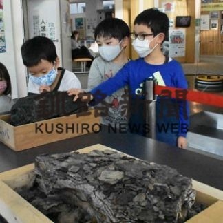 楽しみながら地層学ぶ(2021-01-05)