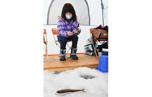 ワカサギ「大物釣れた」、あいすランド阿寒開幕(2021-01-10)