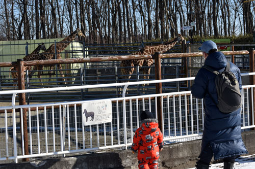 動物園密なく初日 新春記念品、来場者に(2021-01-04)