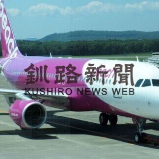 ピーチ関西線  19年度搭乗率82.2%(2021-01-18)