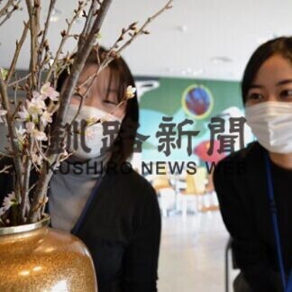 啓翁桜 一足早い春届く 姉妹都市村山市から「友好の証」(2021-01-28)