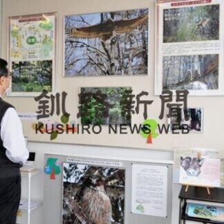 表情豊かなシマフクロウパネル展(2021-01-15)