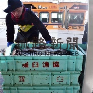 スケソウダラ安全操業初水揚げ　羅臼漁港に１３㌧(2021-01-07)