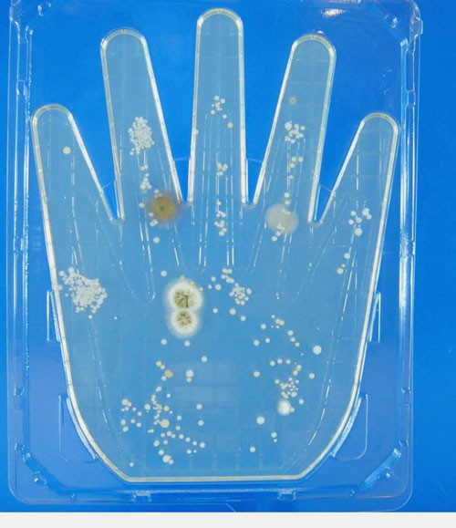 川湯温泉に殺菌効果 強酸性で最大9割減少_1(2021-01-29)