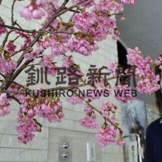 沖縄から日本一早い春の便り(2021-01-31)