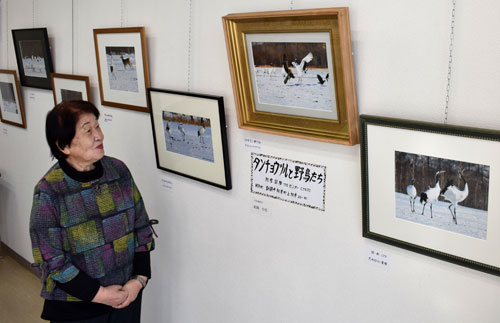 タンチョウや野鳥活写、釧路の紀國さんが作品展(2021-01-03)