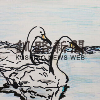 「ねむろの野鳥イラストコンテスト」入賞者発表　〈中〉(2021-02-09)