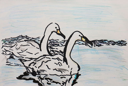 「ねむろの野鳥イラストコンテスト」入賞者発表 〈中〉(2021-02-09)