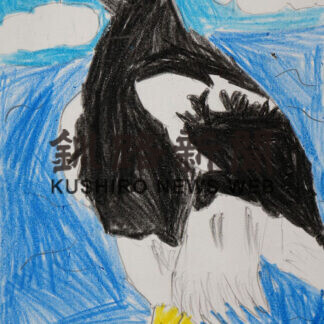 「ねむろの野鳥イラストコンテスト」入賞者発表　〈上〉_2(2021-02-06)