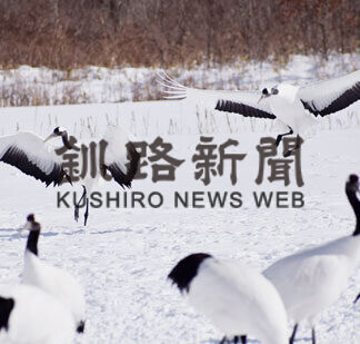 銀世界に舞うタンチョウ　阿寒国際ツルセンター(2021-02-06)