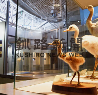 銀世界に舞うタンチョウ　阿寒国際ツルセンター_5(2021-02-06)