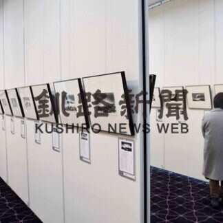 羽生さんの挿絵５０点(2021-02-28)