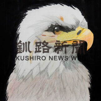 「ねむろの野鳥イラストコンテスト」入賞者発表　〈上〉(2021-02-06)