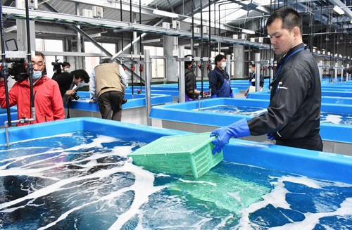 魚類養殖 可能性模索へ(2021-03-19)